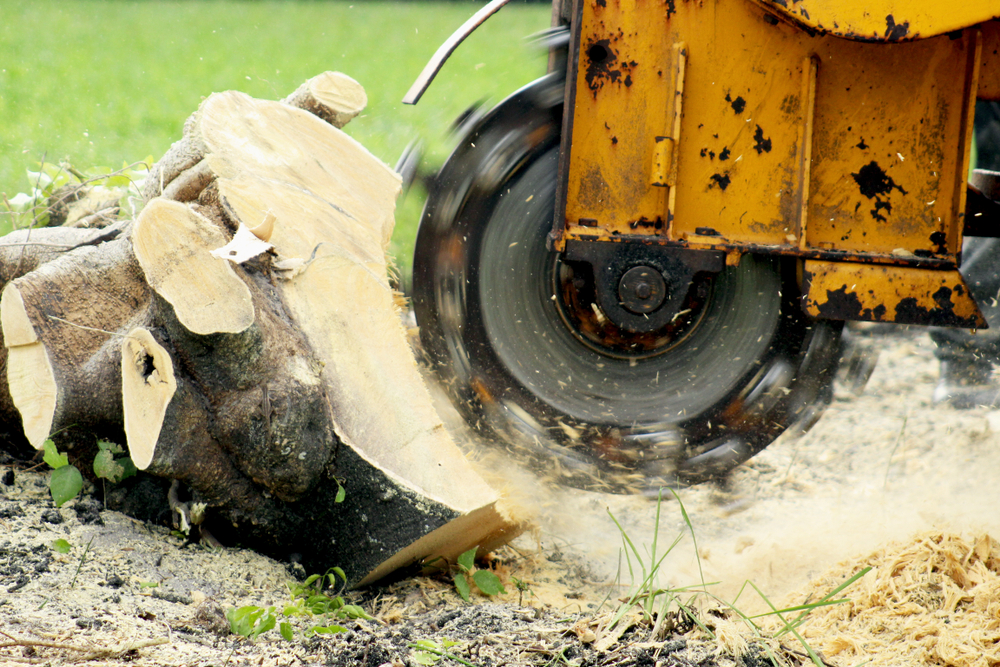 stump grinding and chipping